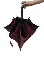 Assorted Designs Umbrella