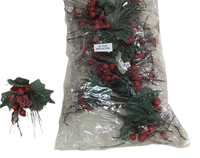 Christmas Berries