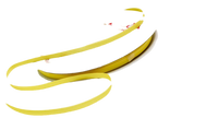 Grossgrain Ribbons (Minimum of 2 Rolls)