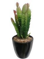 Succulent Artificial Plants (1 Set/6 Pieces)