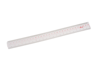 Plastic Ruler (Pack of 12)