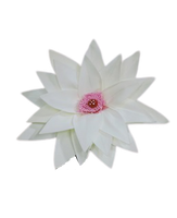 Eva Rose Flower (Star Style)