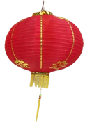 
              Chinese Lantern with Print
            