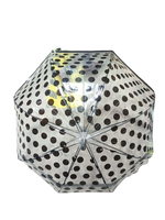 
              Transparent Umbrella
            