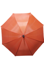 
              U-Shape Handle Umbrella
            