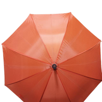 U-Shape Handle Umbrella