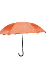 
              U-Shape Handle Umbrella
            