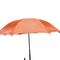 U-Shape Handle Umbrella