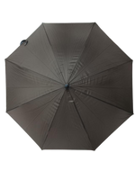 
              U-Shape Handle Umbrella
            