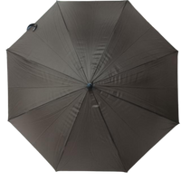 U-Shape Handle Umbrella