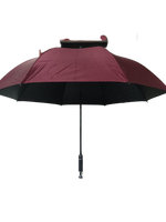 
              Assorted Designs Umbrella
            