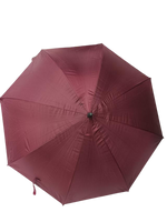 
              Assorted Designs Umbrella
            