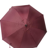 Assorted Designs Umbrella