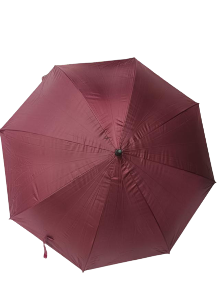 Assorted Designs Umbrella