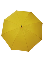 
              Assorted Designs Umbrella
            