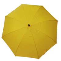 Assorted Designs Umbrella