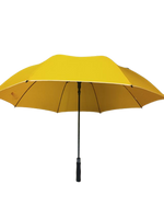 
              Assorted Designs Umbrella
            