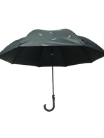 
              Assorted Designs Umbrella
            