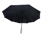 
              Automatic Umbrella
            