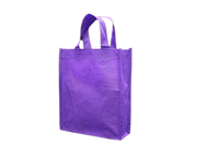 
              Eco Bag (Pack of 20)
            