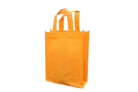 
              Eco Bag (Pack of 20)
            