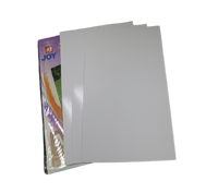 
              Photo Paper (Pack of 20)
            