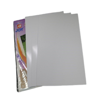 Photo Paper (Pack of 20)