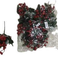 Christmas Berries