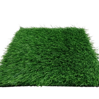 Artificial Turf Grass (1x2 Meters)