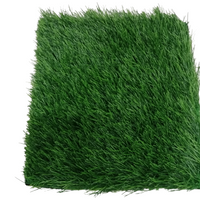 Artificial Turf Grass (1x2 Meters)