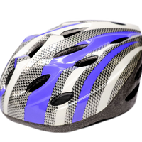 Bike Helmet Blue and White Stripes