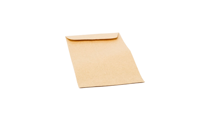 Coin Envelope (Box of 500)