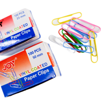 Paper Clip (Pack of 100)
