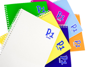 
              Spiral Notebook (Pack of 10)
            