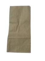 
              Brown Grocery Bag
            