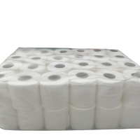 Bathroom Tissue Roll (Pack of 48)