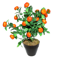 Plant Fruit Arrangement