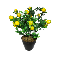 Plant Fruit Arrangement