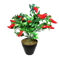 Plant Fruit Arrangement