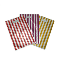 Loot Bag (Pack of 10)