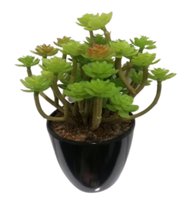 
              Succulent Artificial Plants (1 Set/6 Pieces)
            