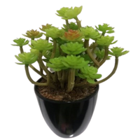 Succulent Artificial Plants (1 Set/6 Pieces)