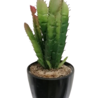 Succulent Artificial Plants (1 Set/6 Pieces)