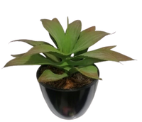 
              Succulent Artificial Plants (1 Set/6 Pieces)
            