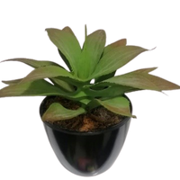 Succulent Artificial Plants (1 Set/6 Pieces)