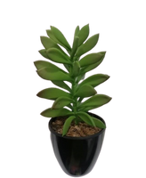 
              Succulent Artificial Plants (1 Set/6 Pieces)
            