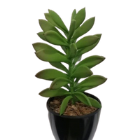 Succulent Artificial Plants (1 Set/6 Pieces)