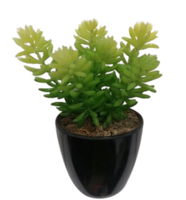 
              Succulent Artificial Plants (1 Set/6 Pieces)
            