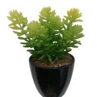 Succulent Artificial Plants (1 Set/6 Pieces)