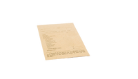 
              Pay Envelope (Box of 500)
            